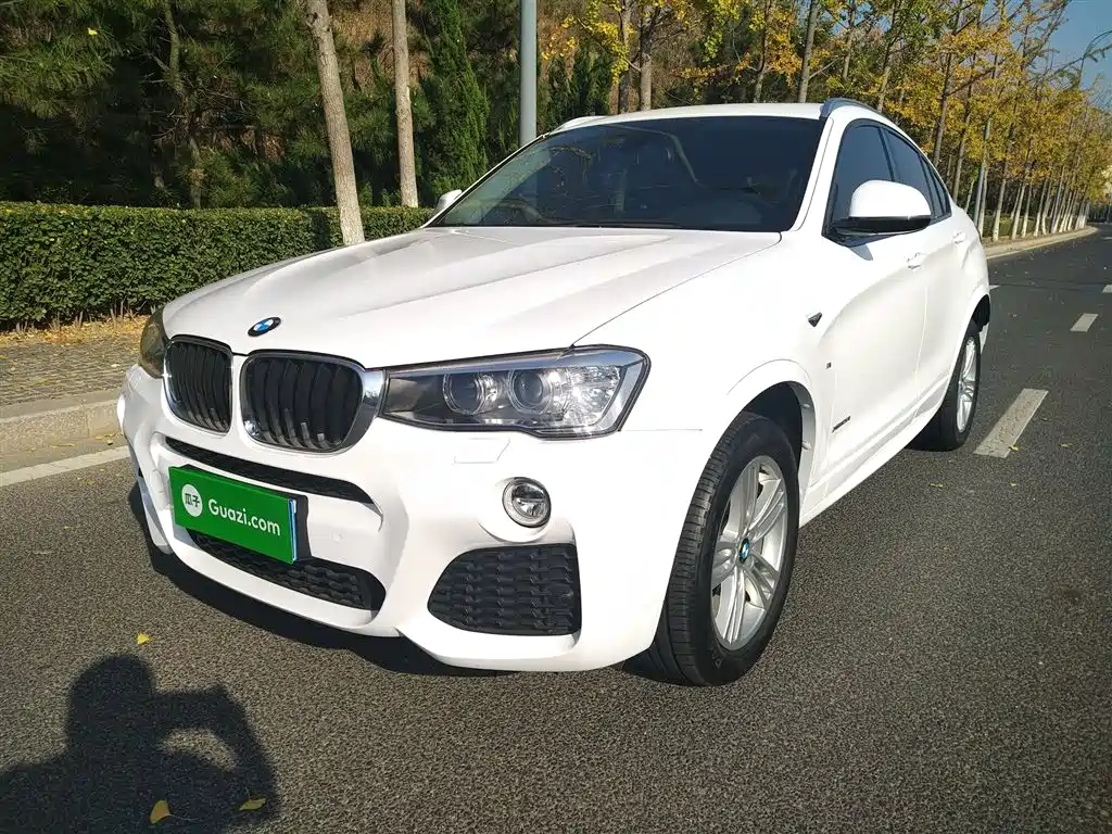 BMW X4 2016 Model xDrive20i M Sport фото 2