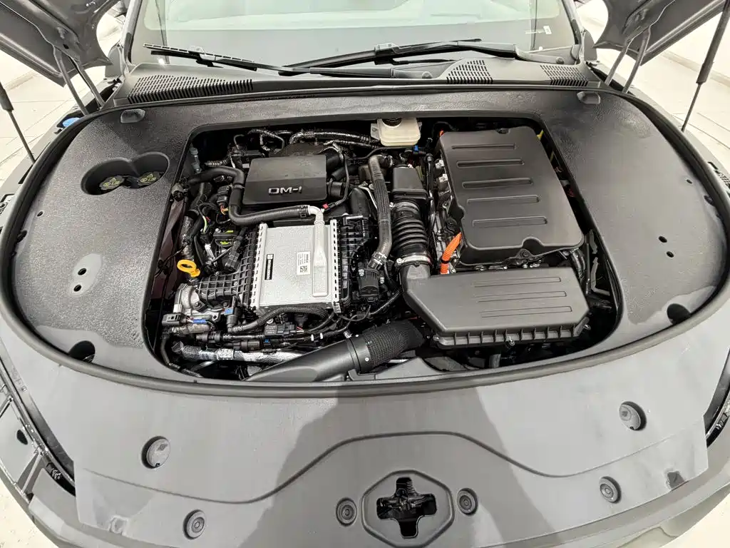 BYD Han 2025 2025 DM-i 125KM Honor