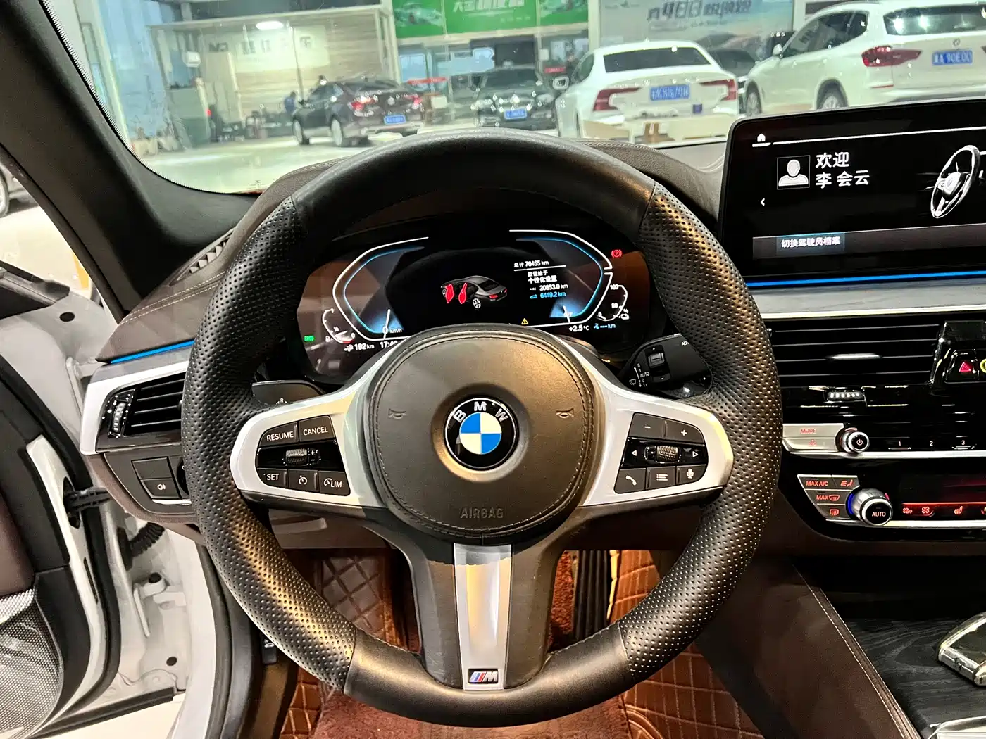 BMW 5 SERIES NEW ENERGY