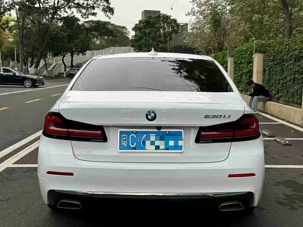 BMW 5 Series 2021 530Li Leading Luxury Package фото 5