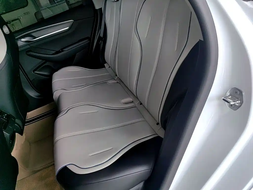 BYD Destroyer 05 2025 2024 Glory Edition DM-i 55KM Luxury