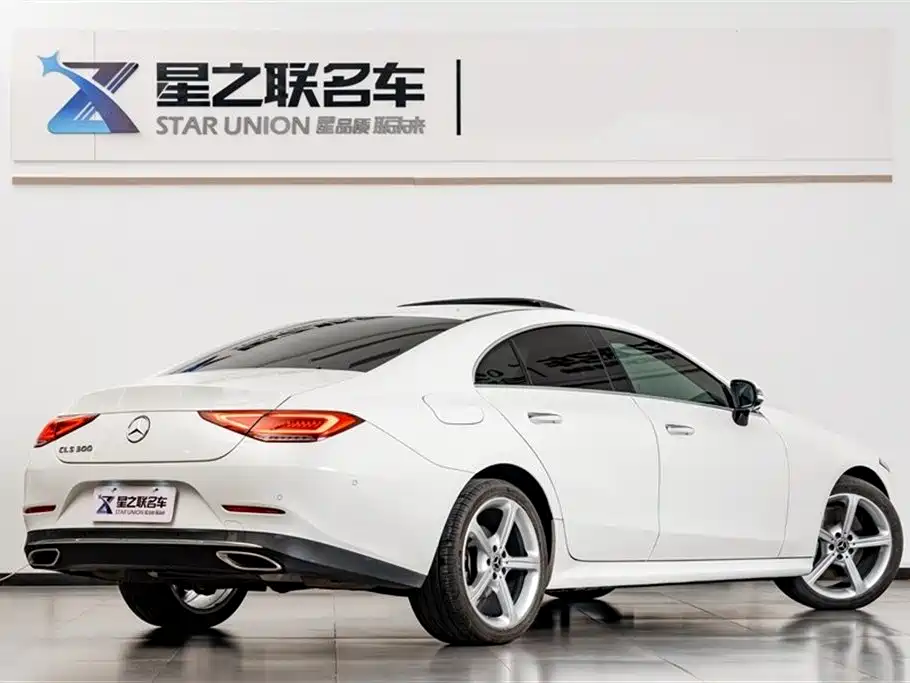 Mercedes-Benz CLS 2018 CLS 300 Dynamic фото 7
