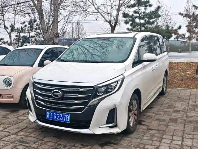 GAC Trumpchi Trumpchi M8 2020 Pilot 390T Luxury Edition