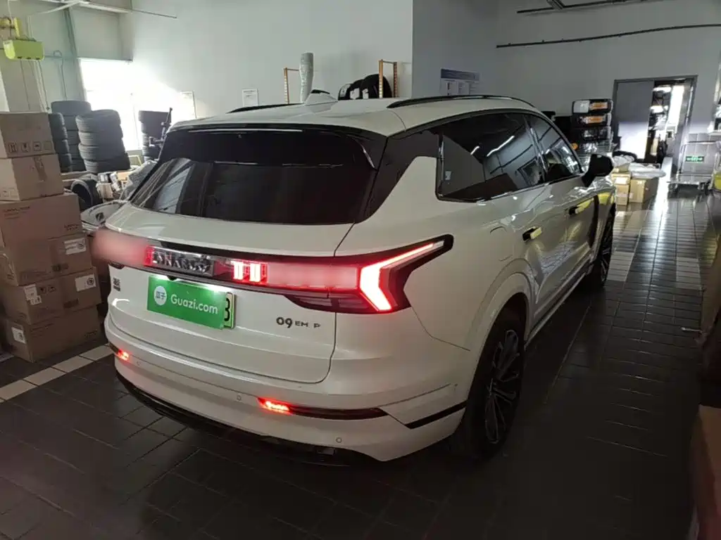 Фото 7 - Lynk & Co 09 EM-P