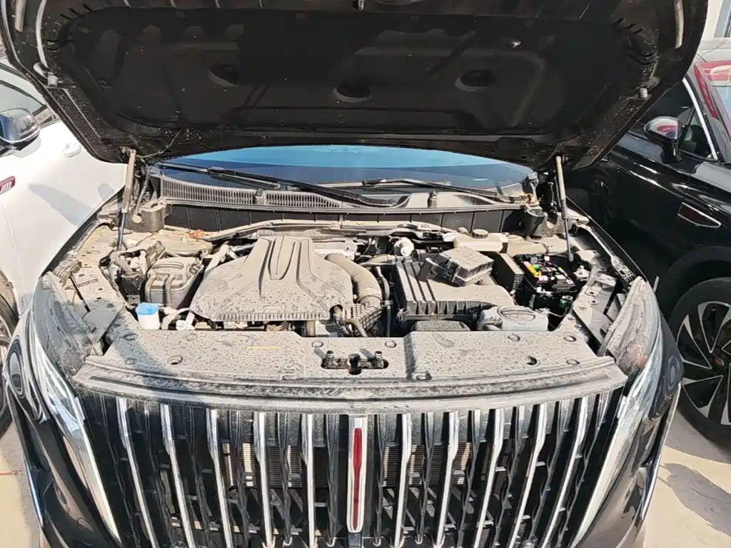 Photo 20 - Hongqi HS7 PHEV