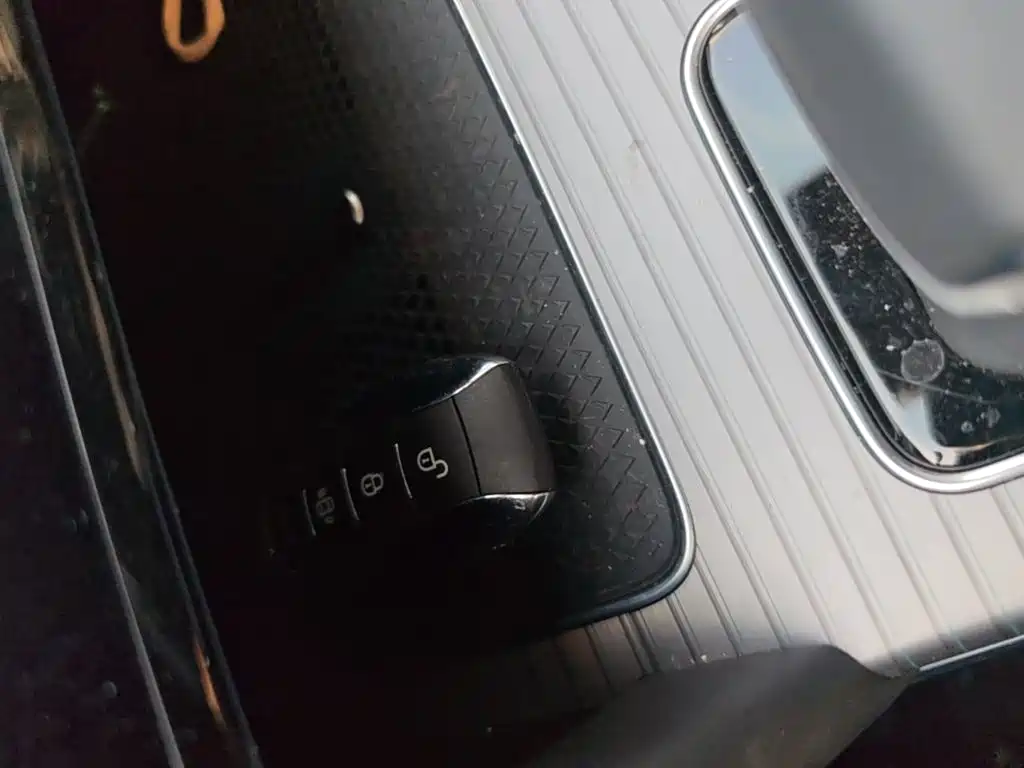 Photo 9 - Hongqi HS7 PHEV