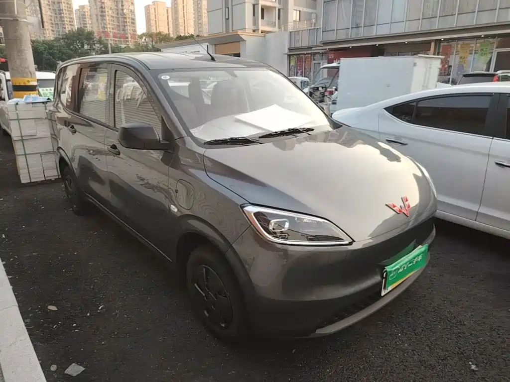Wuling Motors Wuling Hongguang New Energy 2026 2024 Pure Electric 300KM Standard
