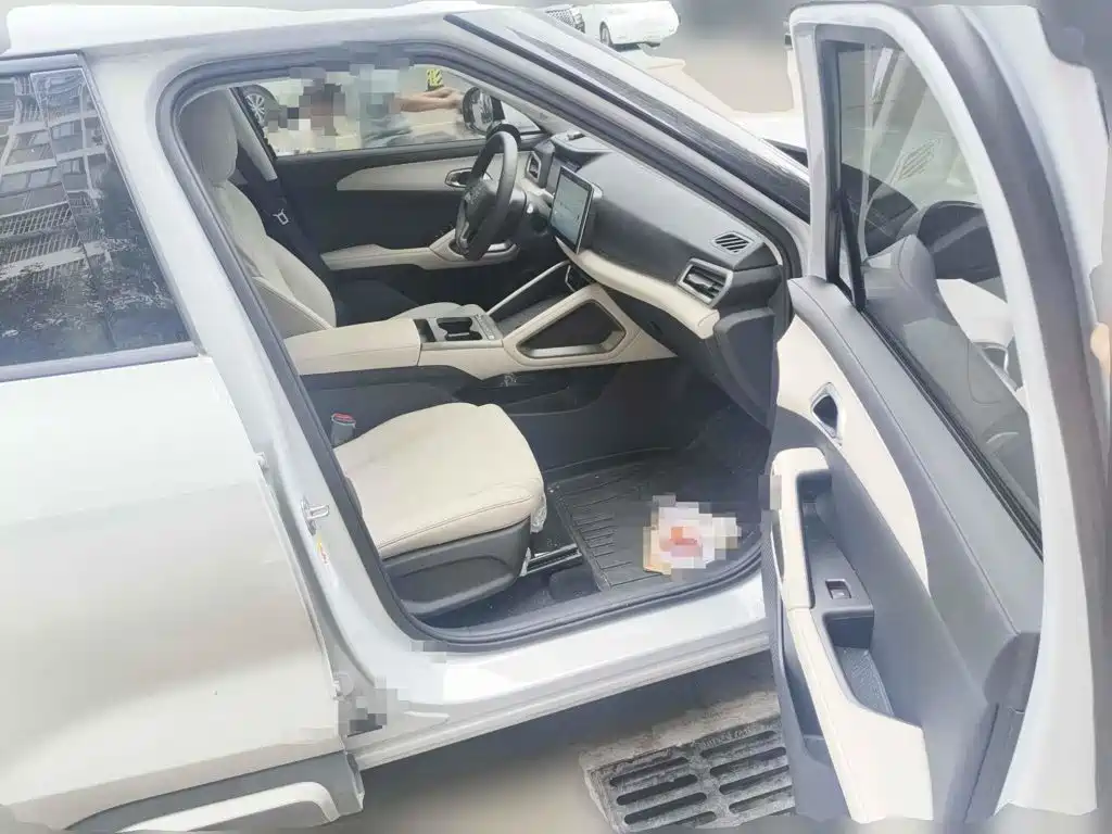 BYD Yuan UP 2025 2025 Model 301KM Navigator