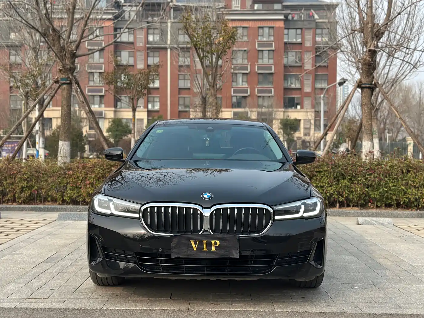 BMW 5 Series 2021 530Li Leading Luxury Package фото 2