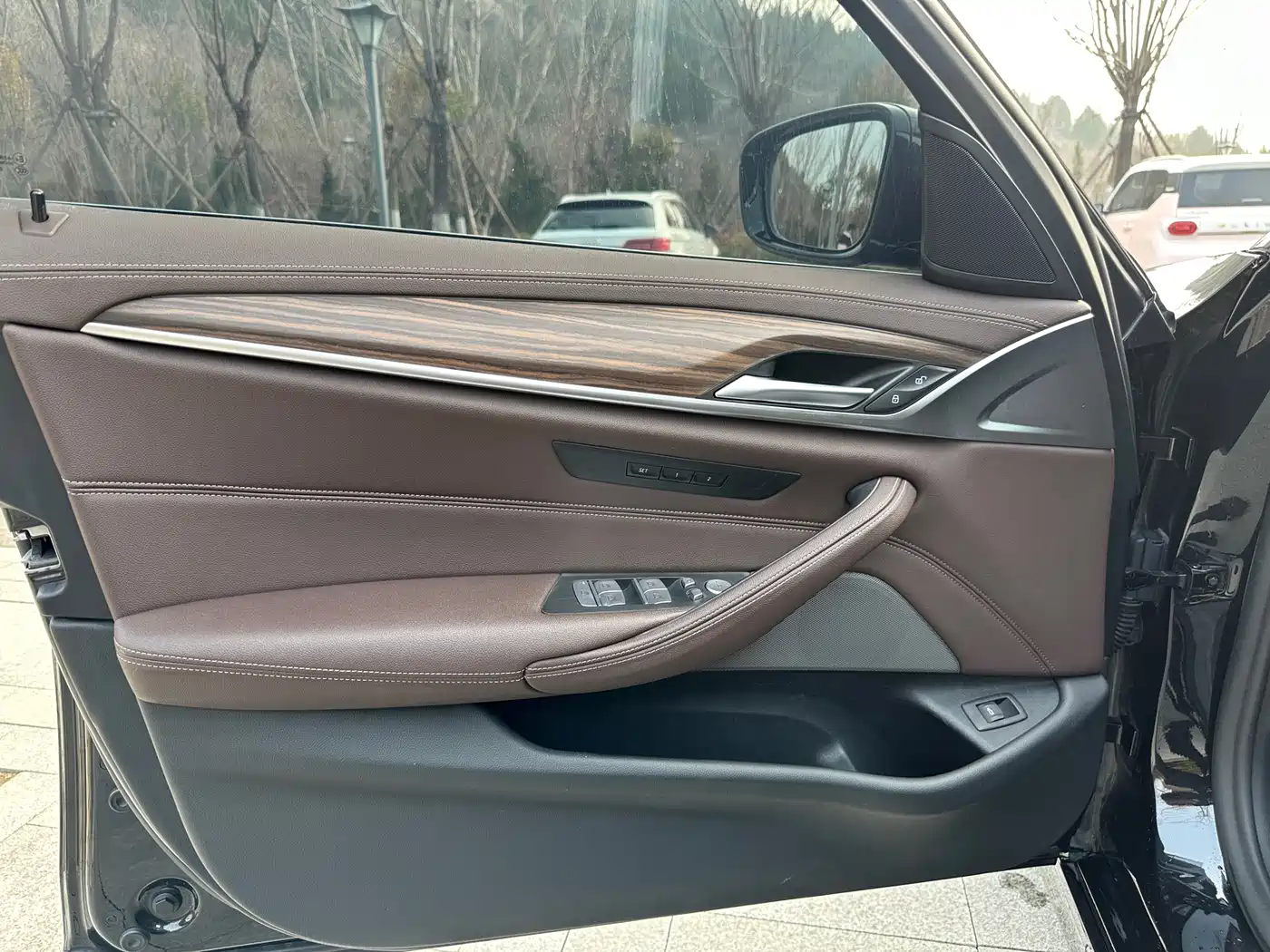 BMW 5 Series 2021 530Li Leading Luxury Package фото 10