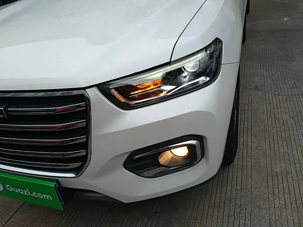 صورة 24 - Haval H6