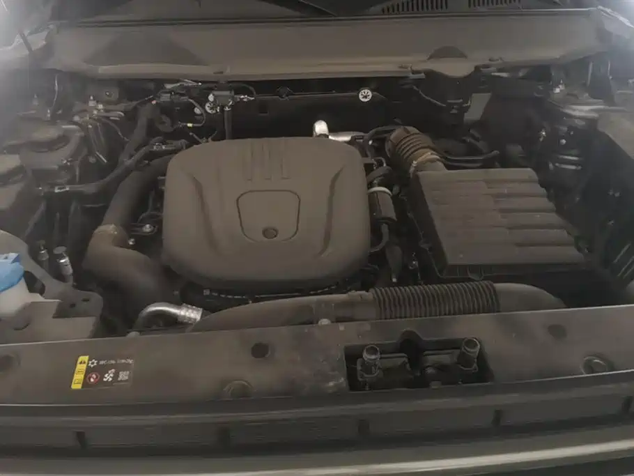 HAVAL RAPTORS NEW ENERGY