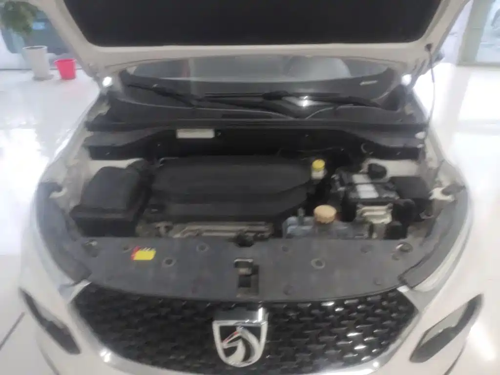 صورة 20 - Baojun 510