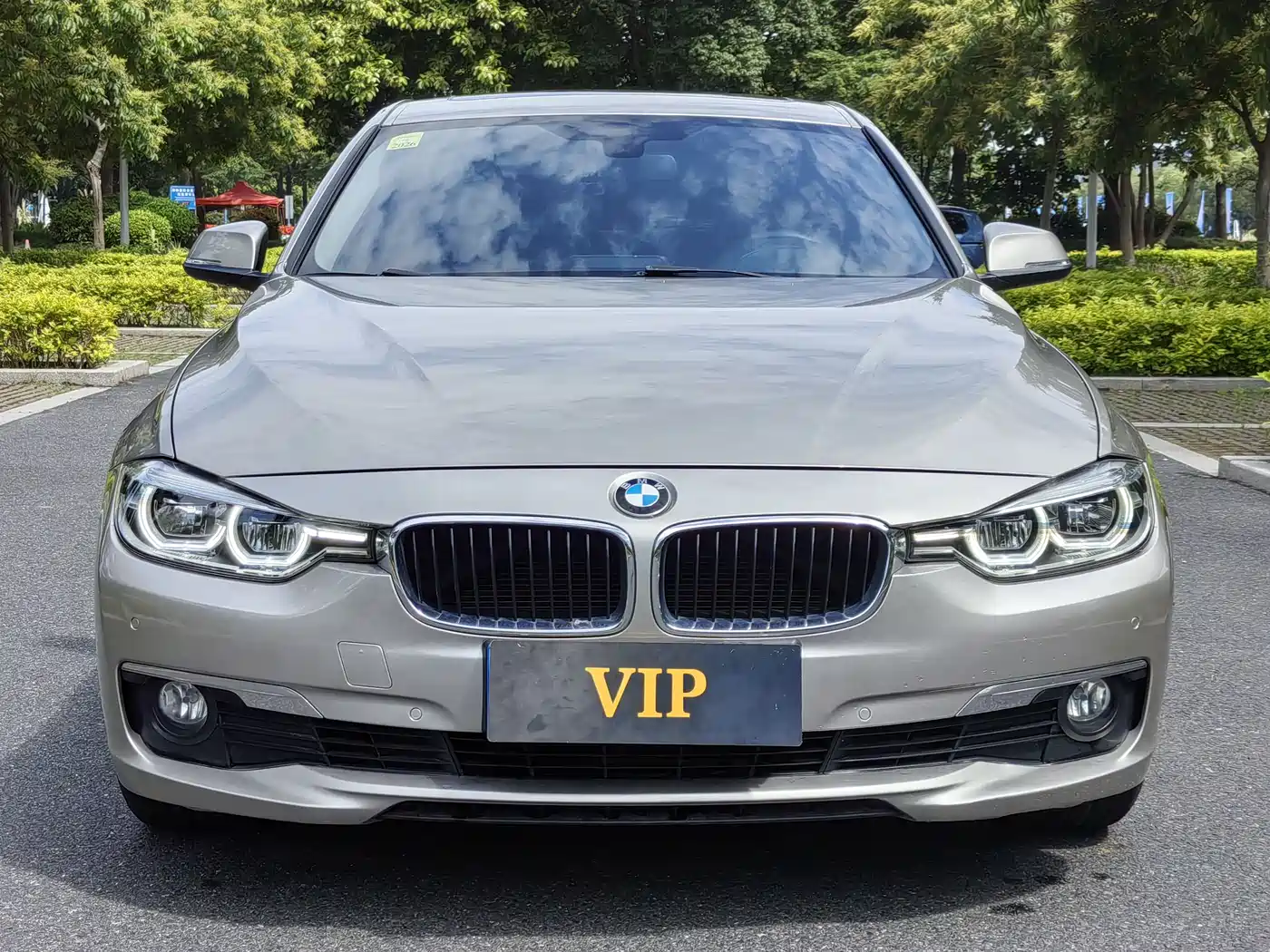 BMW 3 Series 2016 320Li Progressive фото 2