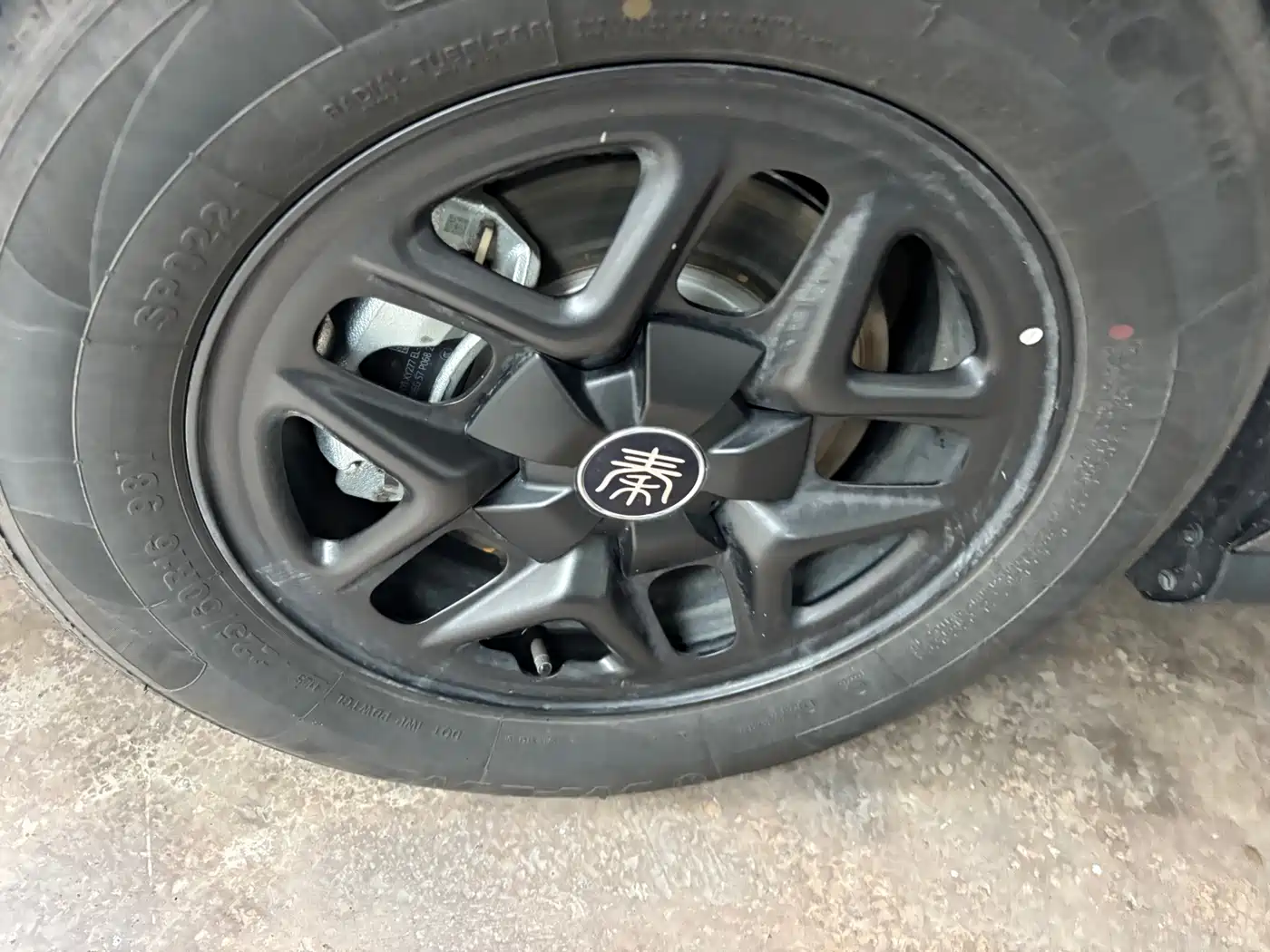 BYD Qin PLUS 2025 DM-i Smart Drive 55KM Leader фото 3