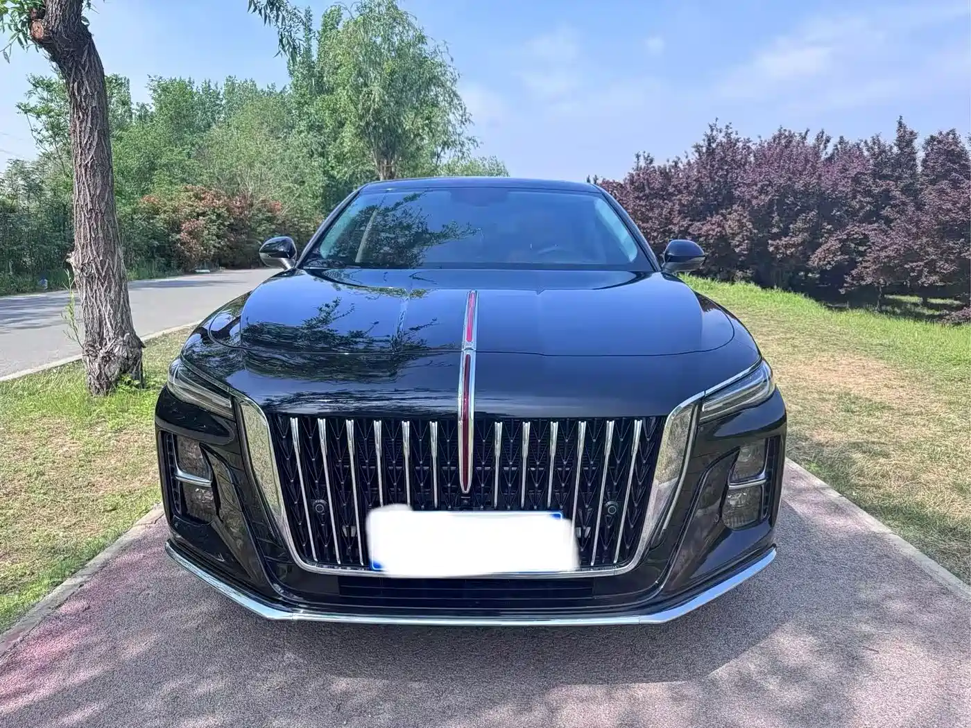 Hongqi H5 2025 1.5T DCT Flag Rhythm 500,000 Units Memorial Edition фото 2