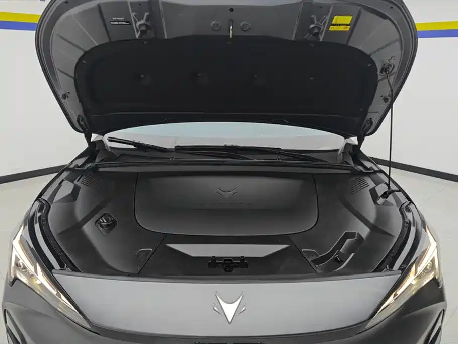 ARCFOX EXTREME FOX POLAR FOX ALPHA T5