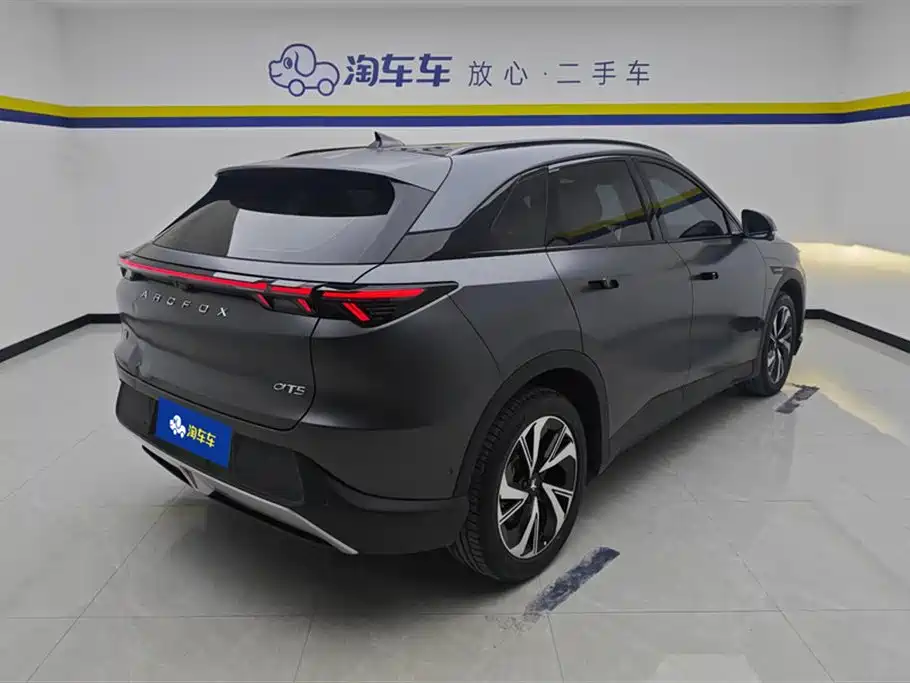 ARCFOX EXTREME FOX POLAR FOX ALPHA T5