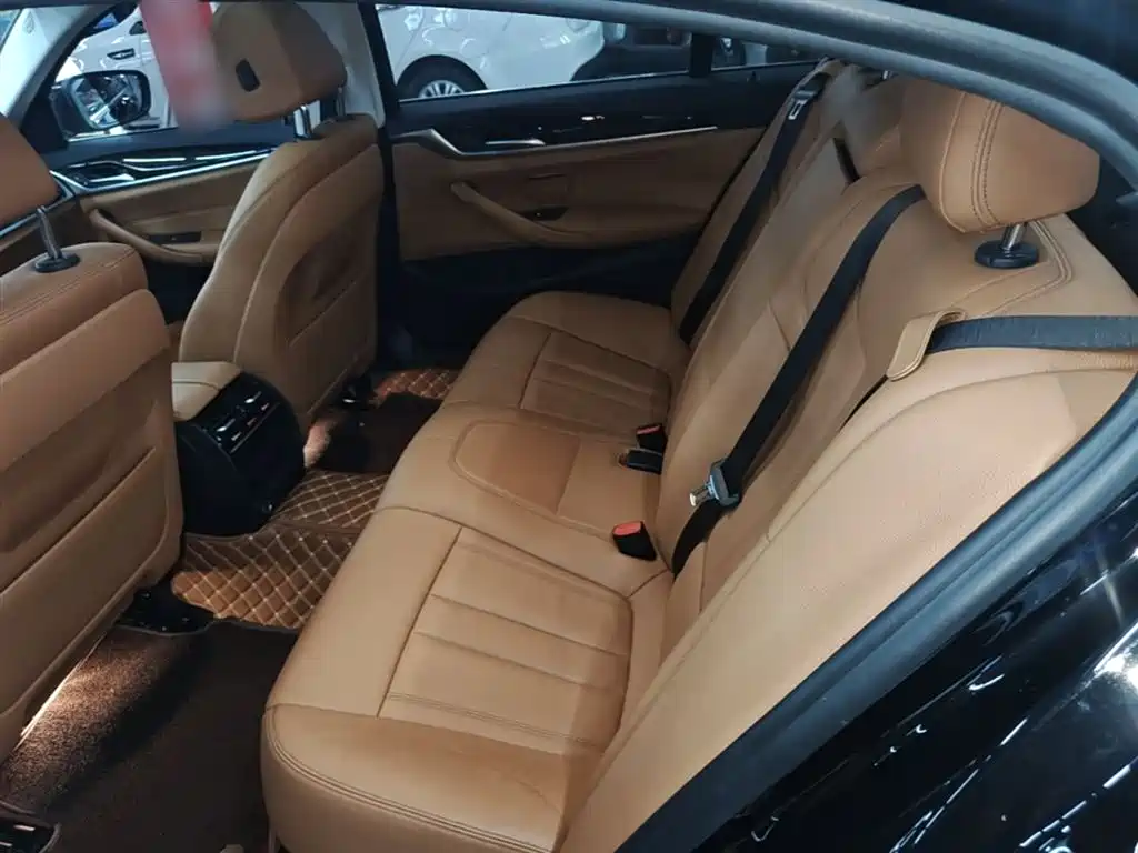 BMW 5 Series 2018 528Li Launch Special Edition фото 17
