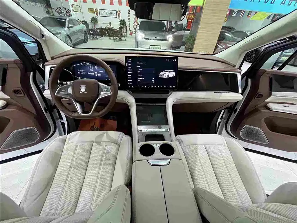 Фото 7 - BYD Xia