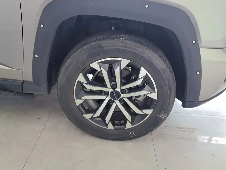 Haval Da Gou 2nd Gen 2024 2023 2.0T 2WD Trendy Off-road Edition Plus