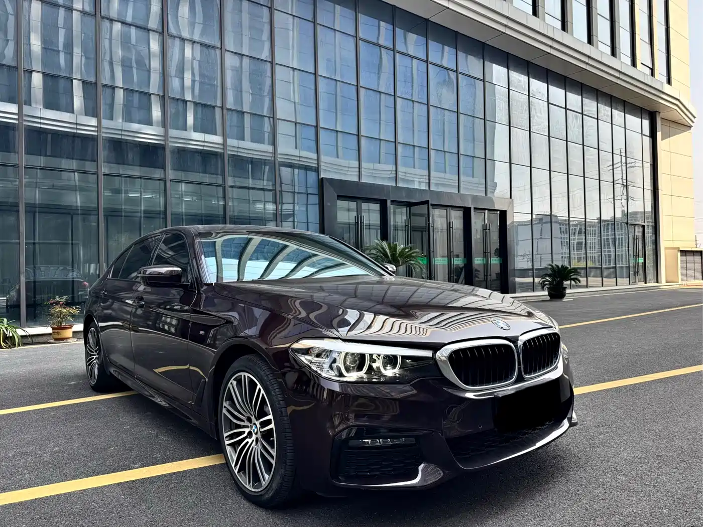 BMW 5 Series 2019 530Li Leading M Sport Package фото 3
