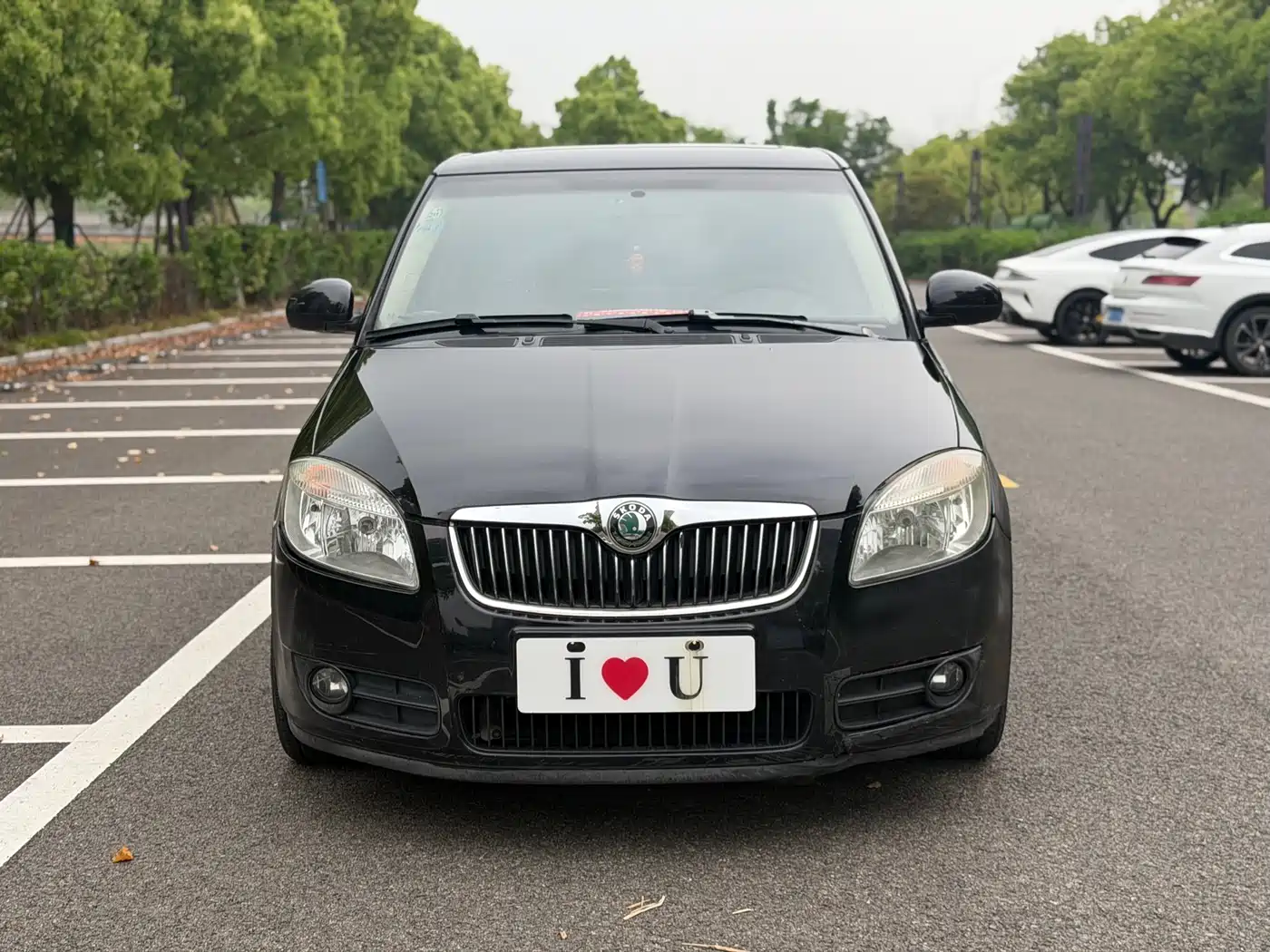 Škoda Fabia 2008 1.4L Automatic Crystal Comfort фото 2