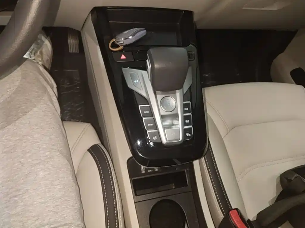 BYD Yuan Pro 2021 2021 401KM Premium Model