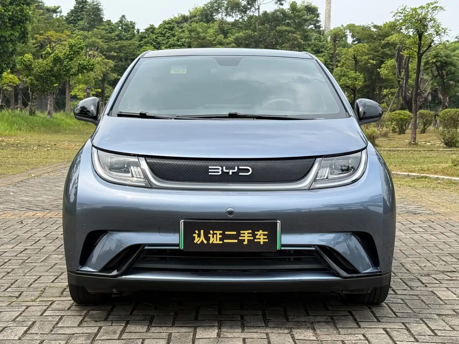 Фото 2 - BYD Dolphin