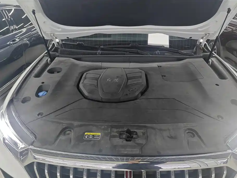 Hongqi HS5 2019 2.0T Smart Connect Enjoy 4WD Edition фото 10