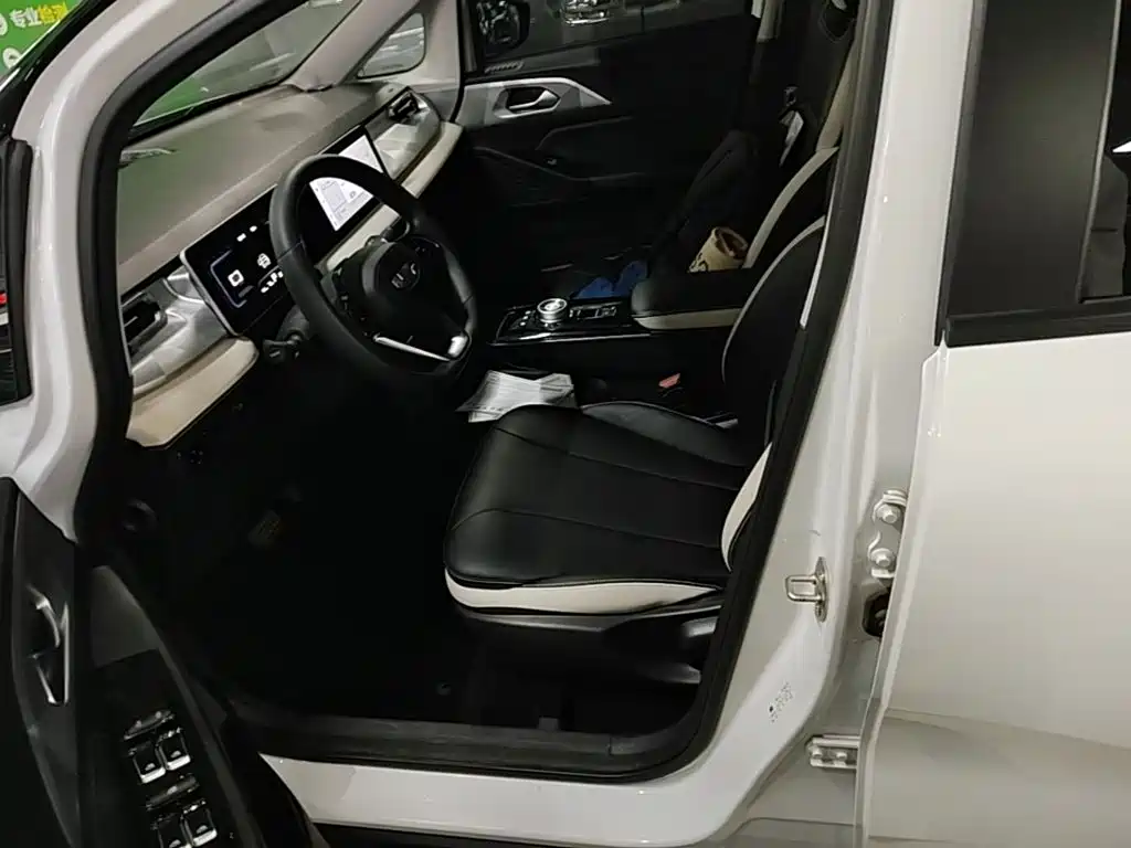 Geely Geometry E Firefly 2022 2022 401KM Delicate Tiger 4-seater