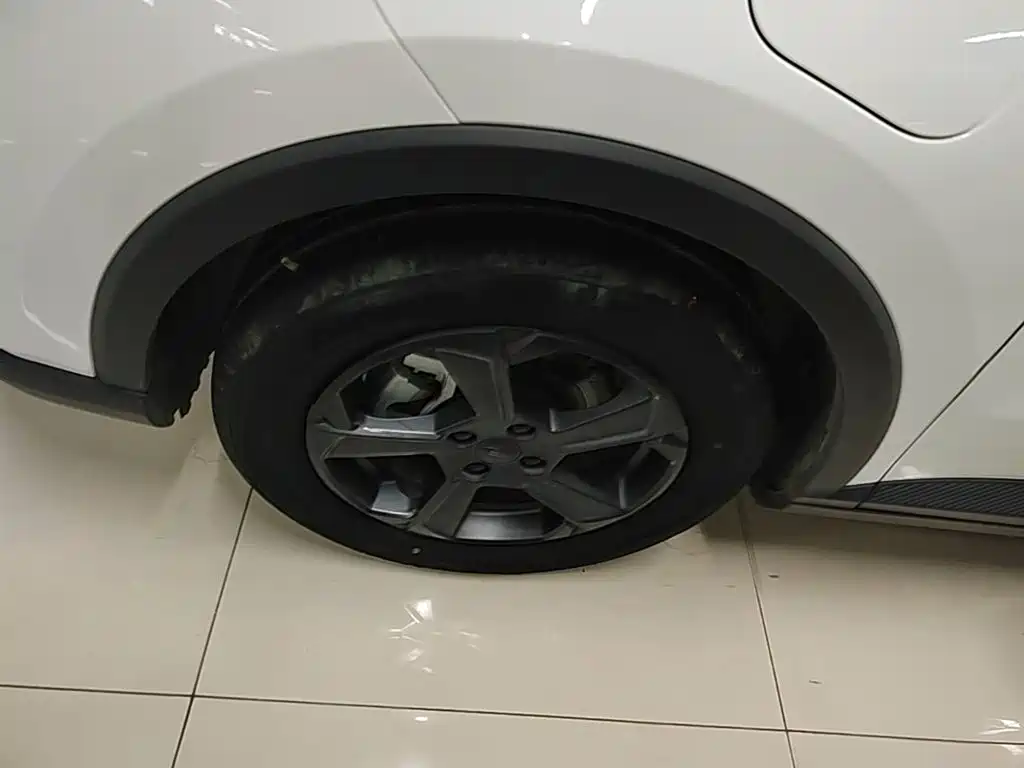 Geely Geometry E Firefly 2022 2022 401KM Delicate Tiger 4-seater
