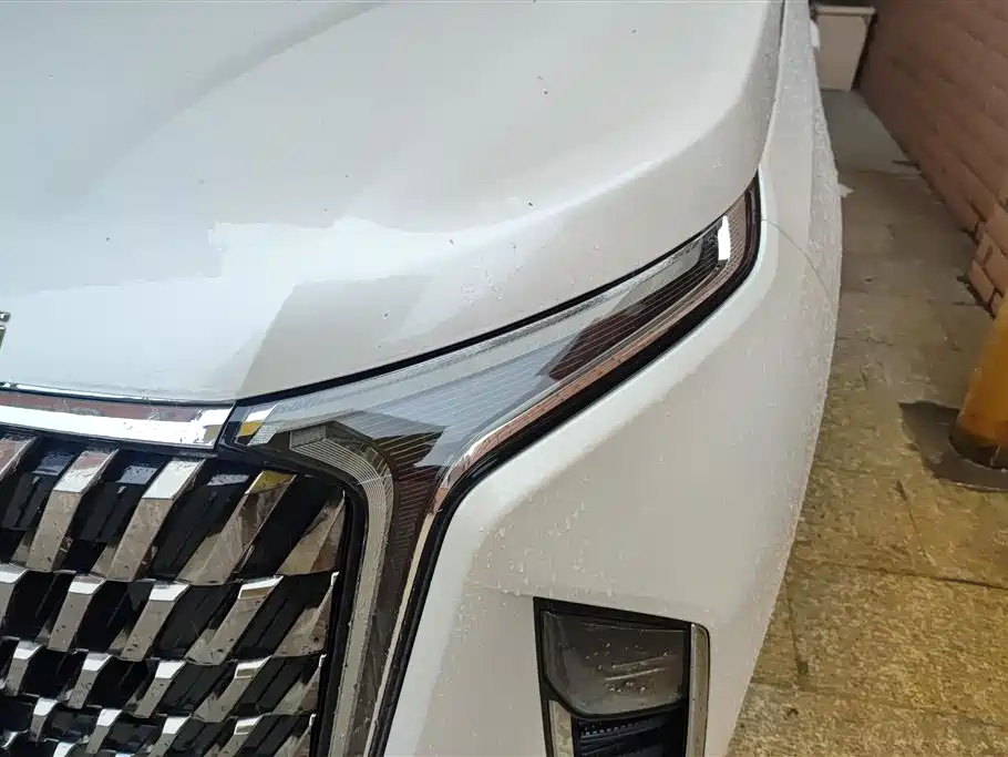 CHASE G90