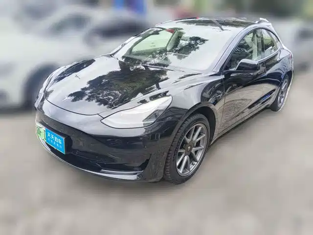 Tesla Model 3 2022 Model Rear-Wheel Drive Version — фото 1