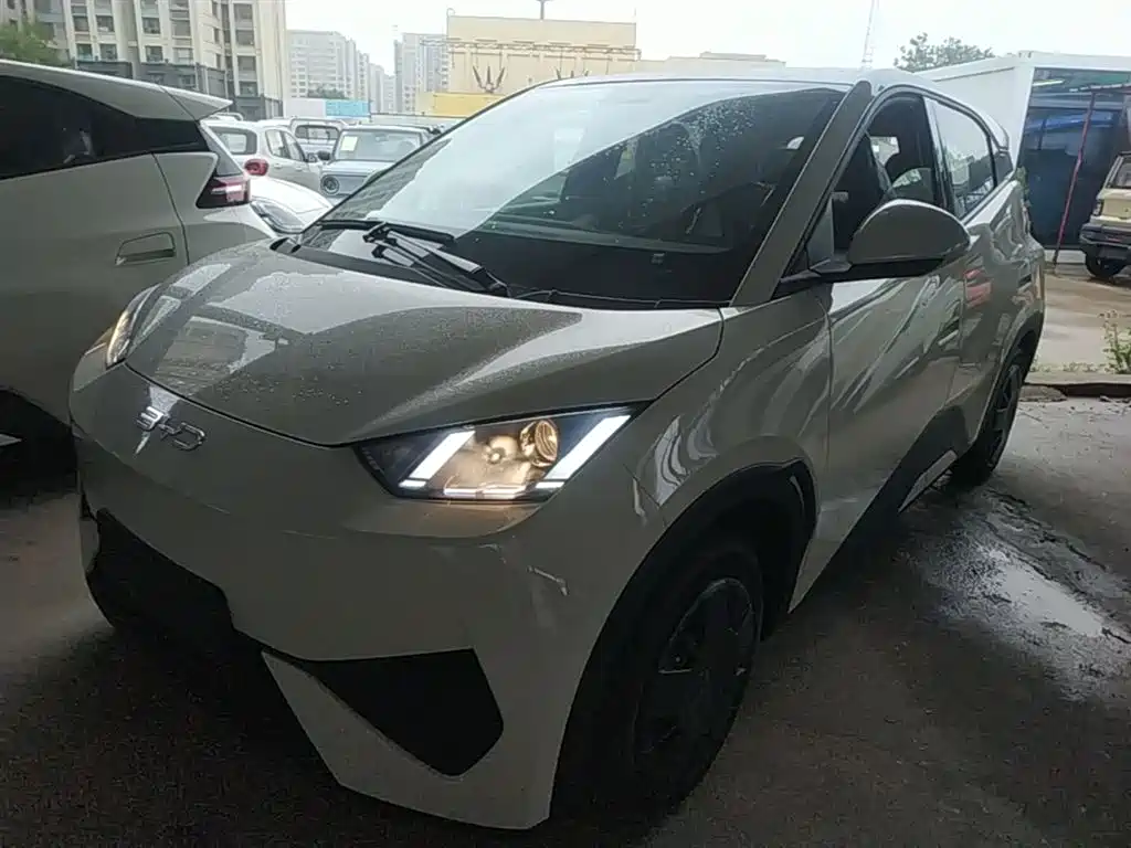BYD Seagull 2025 Smart Drive Edition 305km Vitality Version