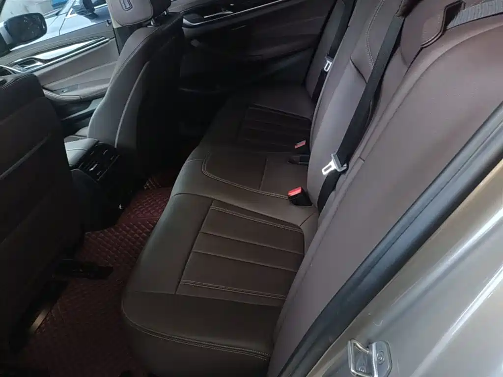 BMW 5 Series 2020 525Li Luxury Package фото 17