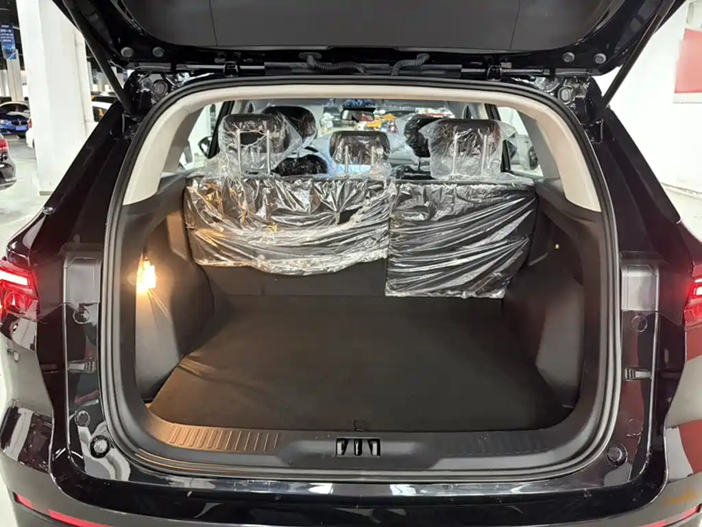 Ford Lingrui 2025 2025 EcoBoost 170 Platinum