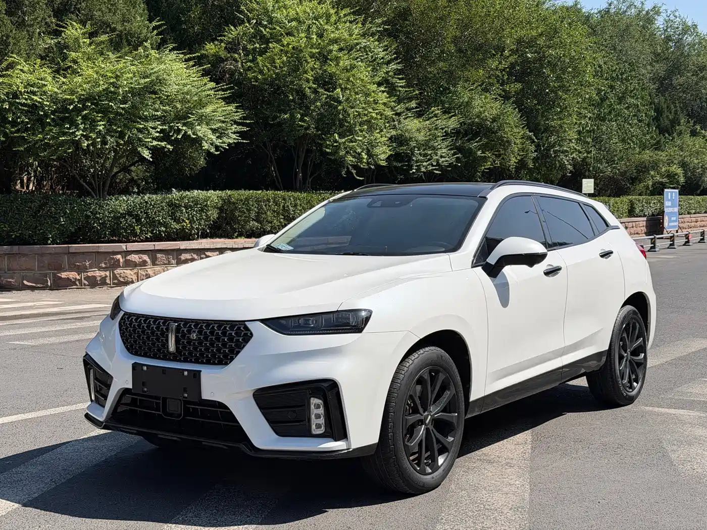 WEY VV7 2019 2020 2.0T Super Luxury