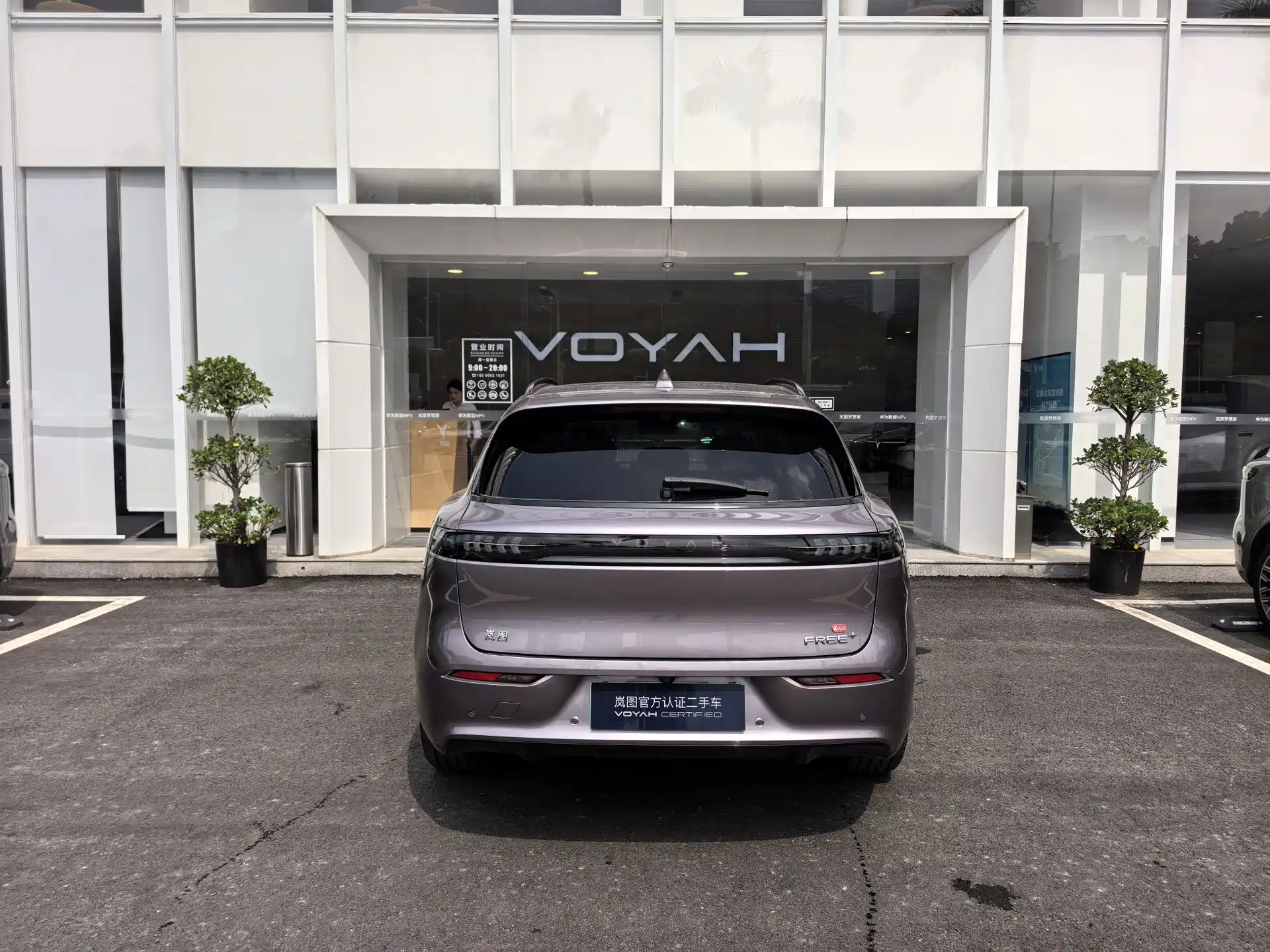 Фото 6 - Voyah Free