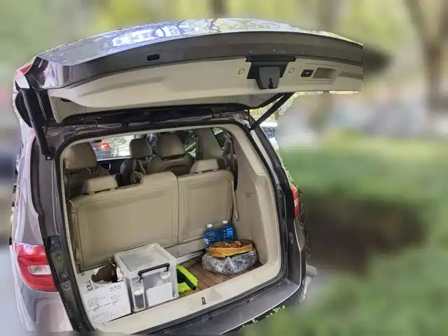 Buick GL8 2015 2.4L Luxury Business Exclusive Edition — фото 5