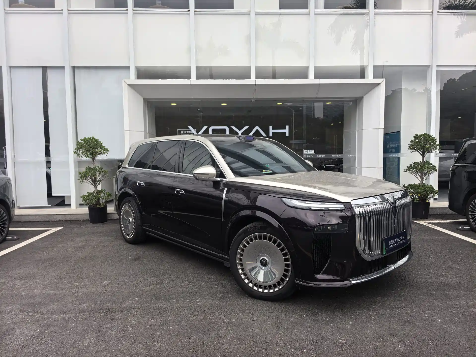 Фото 3 - Voyah Taishan
