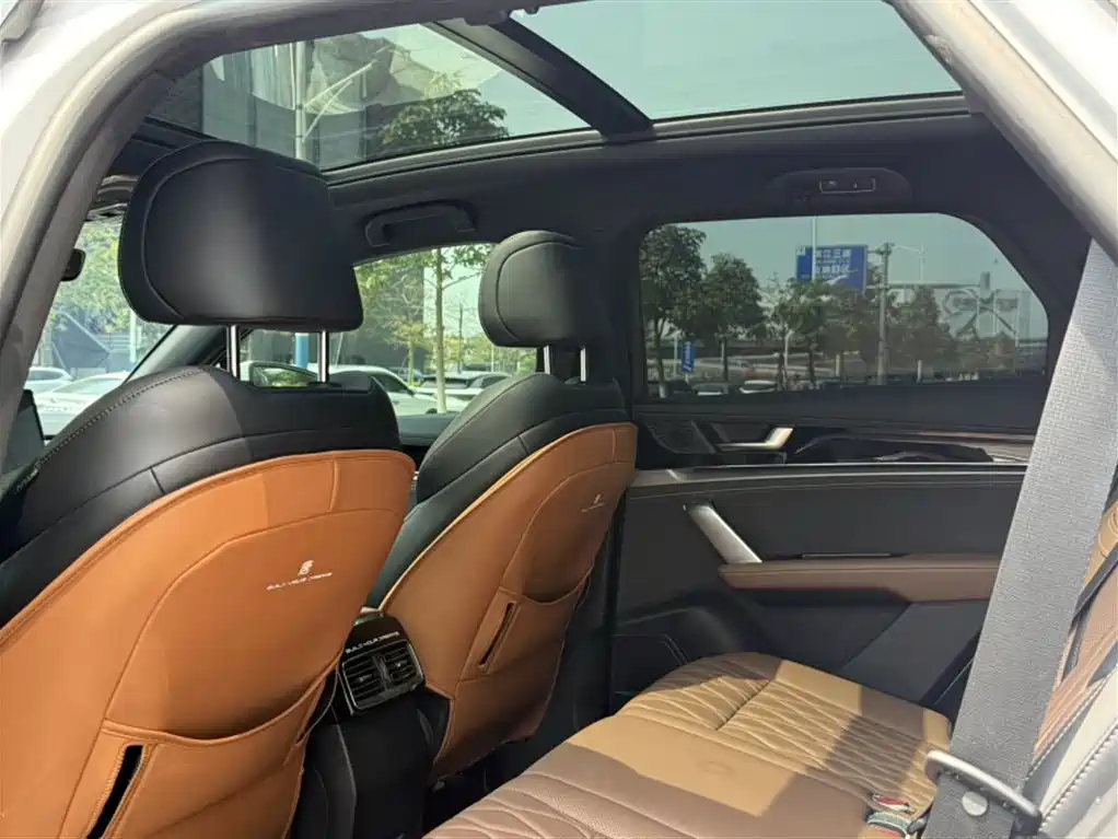 BYD Tang New Energy 2023 Model DM-i Champion Edition 112KM Deluxe фото 16