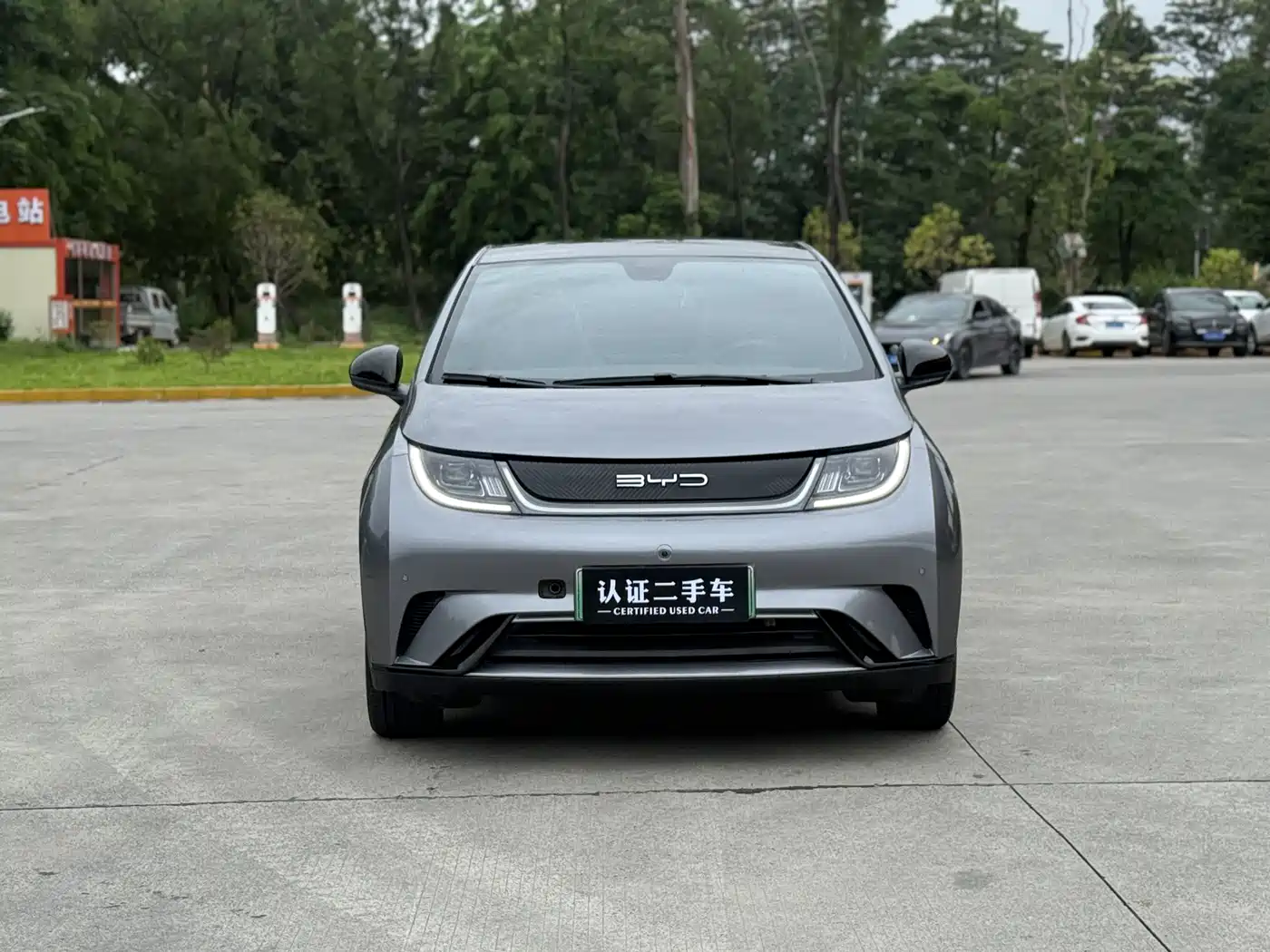 BYD Dolphin 2023 420km Fashion Edition фото 4