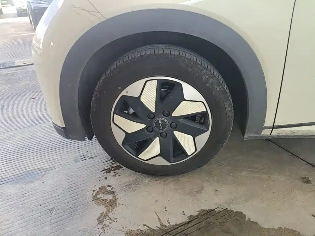 BYD Dolphin 2026 2025 420km Freedom Edition