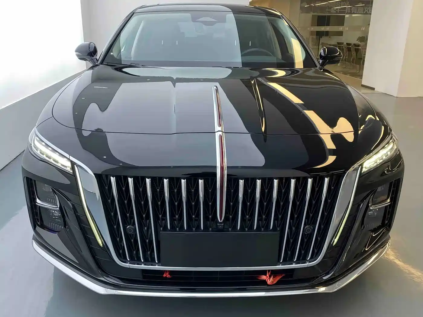 Hongqi H5 2023 2.0T Auto Smart Connect Flag Comfort фото 2