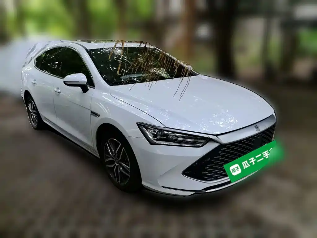 Photo 24 - BYD Qin PLUS