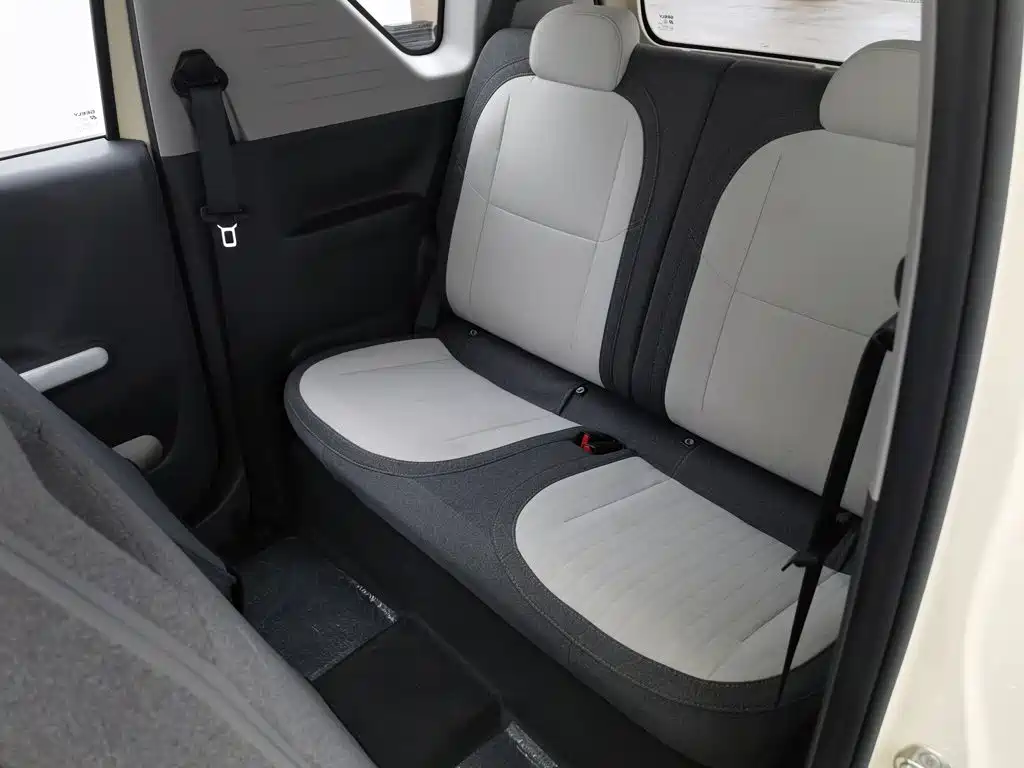 Geely Galaxy Panda 2026 2025 Panda mini 210km Vitality Bear