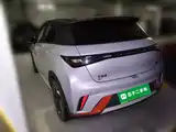 Фото 4 - BYD Dolphin
