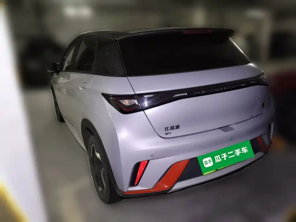 Фото 4 - BYD Dolphin