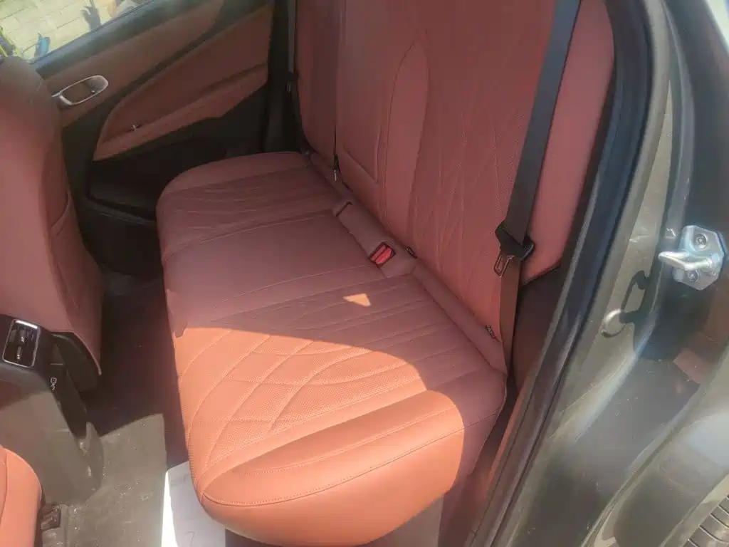 Geely Boyue REV 2026 2026 Extended Range Base Model